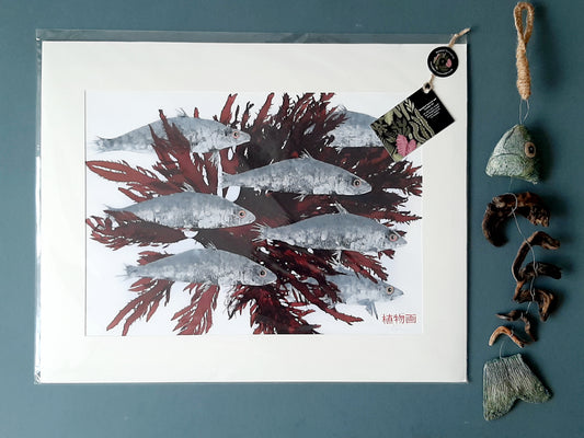 Gyotaku Fine Art Fish Prints.