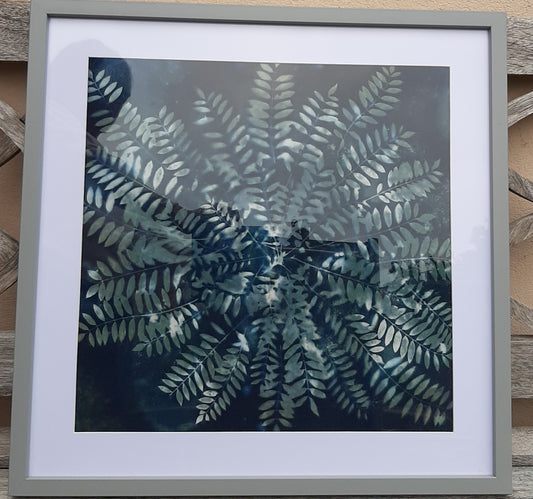 Blue Framed Botanical Art