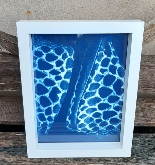 Blue Botanical Shell Picture