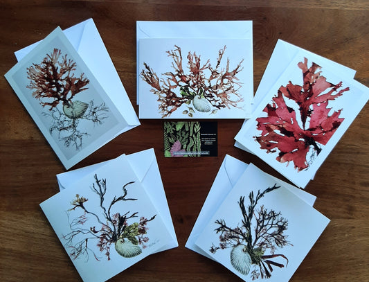 Pack of 5 Seaweed Printed Cards